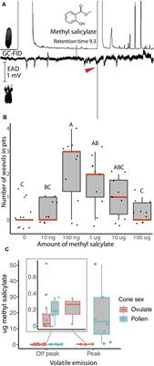 Cycad-Weevil Pollination Symbiosis Is Characterized by Rapidly Evolving and Highly Specific Plant-Insect Chemical Communication